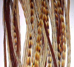 grizzly rooster feather 39