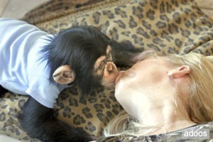 lovely female baby chimpanzee for adoption