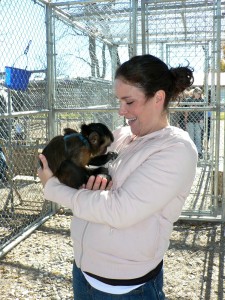 Tamed Female Baby Capuchin Monkey For Adoption