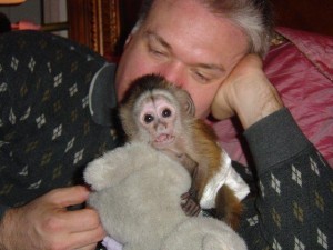 Adorable Tamed Female Bay Capuchin Monkey For Adoption