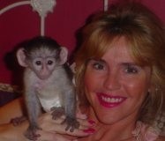 Adorable Tamed Female Baby Capuchin Monkey For Adoption