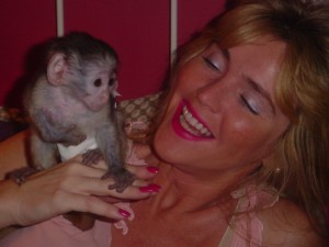 cute andloving capuchin monkey for adoption