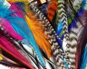 long quality fashion dyed grizzly rooster feather for hair extension