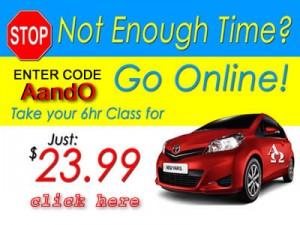 Alpha and Omega Driving School