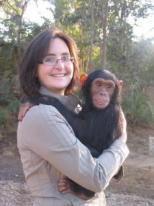 Adorable baby chimpanzees monkeys for sale