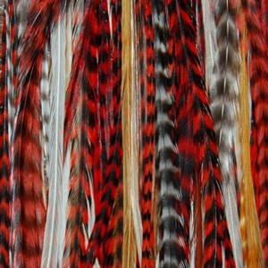 natural grizzly rooster feathers