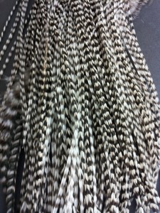 WE SELL QUALITY GRIZZLY ROOSTER FEATHERS FOR HAIR EXTENSION