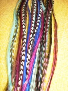 Grizzly rooster feathers for sales