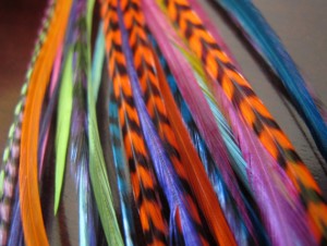 High Quality Grizzly Rooster Feathers