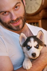 Purebreed Blues Eyes Siberian Huskies pups