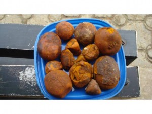 Well dried Gallstones of Ox and Cow available,