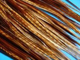  Grizzly Rooster Feather Hair Extensions 1. Material: 100% feather 2.Custom colors $ mixed. 3.MOQ:7 - 20 packs. 4. fast $ free s