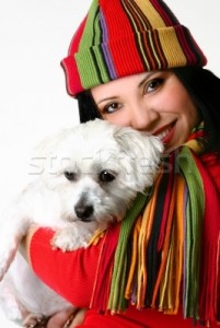VERY LOVELY AND ADORABLE MALTESE PUPPIES ONLY FOR WELL ORGANISED FAMILY ADOPTION