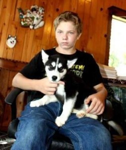 Blue Eyes Siberian Husky Puppies for Adoption