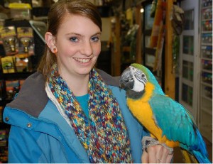 Affectionate Blue and Gold Macaw For Rehoming