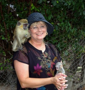 home hand raised capuchin monkeys  for rehoming .16weeks old .