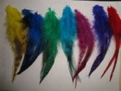 Real Feather For Hair Extensions.