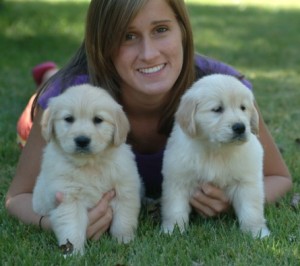 Adorable Male and Female Golden Retriever Puppies for Adoption?
