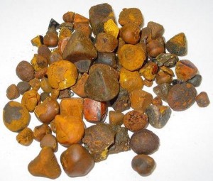 Ox/cow Gallstones For Sale