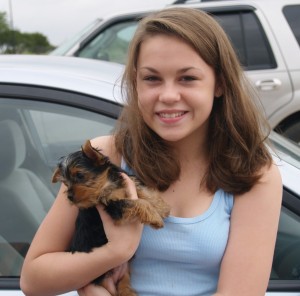 T-cup Yorkie puppies for Christmas.