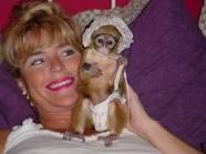 registered Marmoset Monkeys for sale