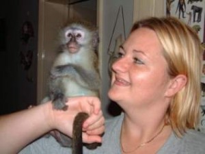 male and female Capuchin monkeys for X-mass