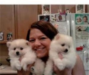 Pomeranian Tiny Fluffy Little Girl And Little Boy