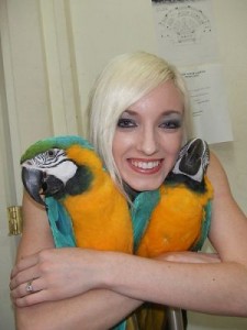 READY TO GO HOME BEAUTIFUL  macaw parrots For Sale