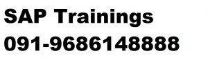 SAP PI 7.1 online training in newjersy