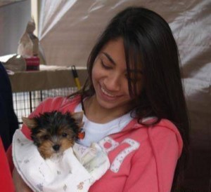 Gorgeous Teacup Yorkie Puppies For Adoption