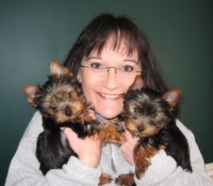 Teacup Yorkie puppies available