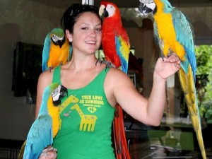 Talking Macaw Parrots for Adoption