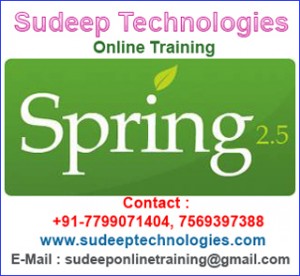 Spring Online Training