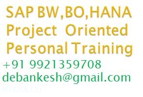 SAP BIBO BW HANA Project Oriented Personal ONLINE Training