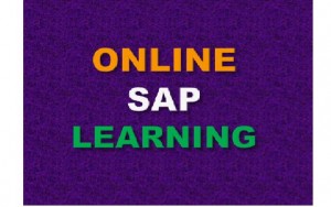 SAP HR ONLINE TRAINING BY REAL TIME CONSULTANT