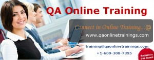 Software Testing Training in USA