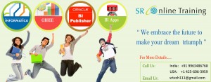 OBIEE Training Online at SR online Training Organization