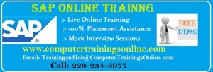 SAP Online Training