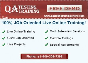 QA Online Tutoring Classes