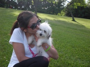 Teacup Maltese Pups