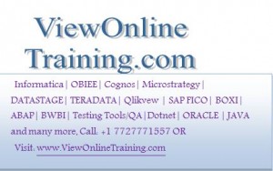 Business Objects Online Training, BOXI Online training