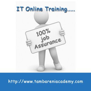 Software Testing Online Training | Tambareni Academy