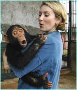 Cute baby chimpanzee monkey for Adoption now!!!!