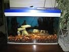 TOP SAMSUNG AQUARIUM WELL EQUIPED FOR ALL TYPES OF FISH FOR SALE AT VERY CHEAP PRICE