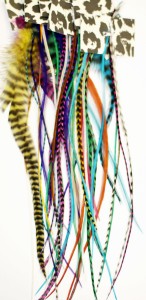 Grizzly Rooster feathers For Hair Extension 