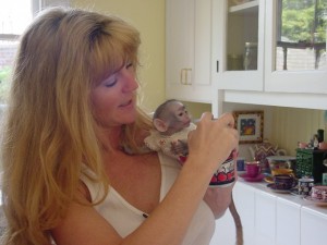 we have two X Mass Cute And Lovely Baby Capuchin Monkey For Adoption