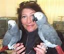 lovely African Grey Parrots for X_Mass gift