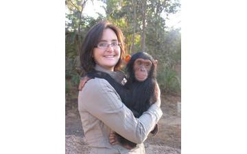 Cute little Male And Female Baby Chimpanzees Monkeys For Adoption