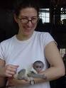 adorable male and female capuchin monkeys for adoption