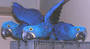 BEAUTIFUL HYACINTH MACAW BABIES FOR adoption